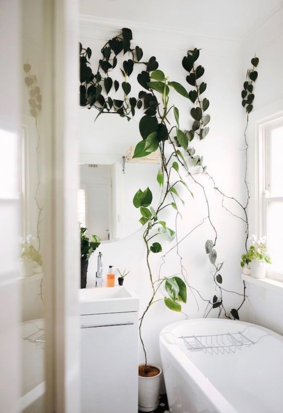 badrumsinspiration vaxter i badrum gullranka rund badrumsspegel badkar bathroom inspo living with plants photo lauren bamford badrumsdrommar