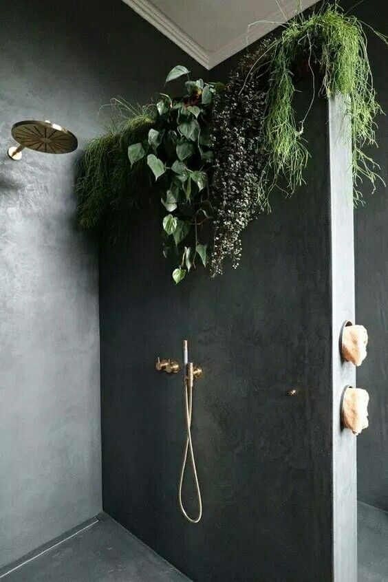 badrumsinspiration vaxter i badrum gullranka tadelakt dusch brass taps bathroom inspo kind of jo photo petite passport vogue australia badrumsdrommar
