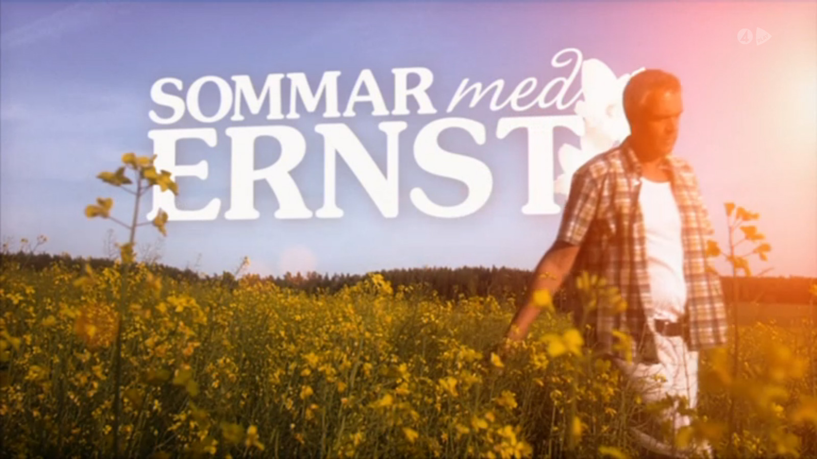 tv4_sommar-med-ernst_småland_vinjett_badrum-lantligt_2014